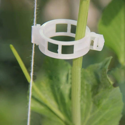 Plastic Plant Supporting Clip