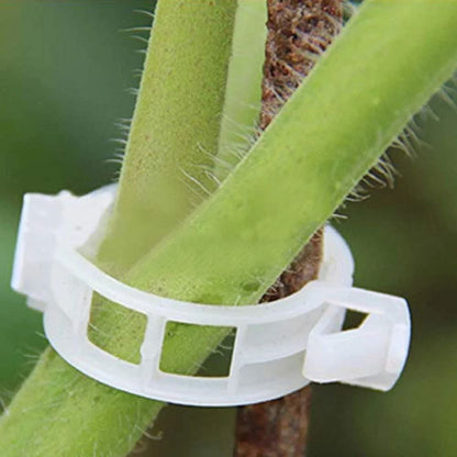 Plastic Plant Supporting Clip