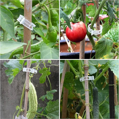 Plastic Plant Supporting Clip
