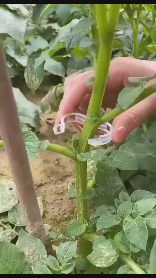 Plastic Plant Supporting Clip